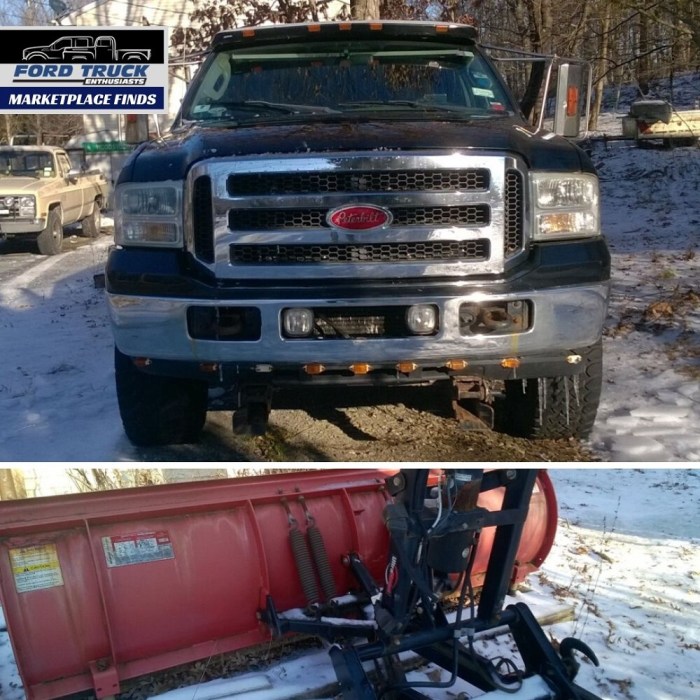Plows pickup snowdogg hdii Best snow plow setups for Ford F-250