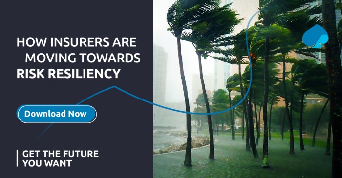 Climate change impact on car insurance